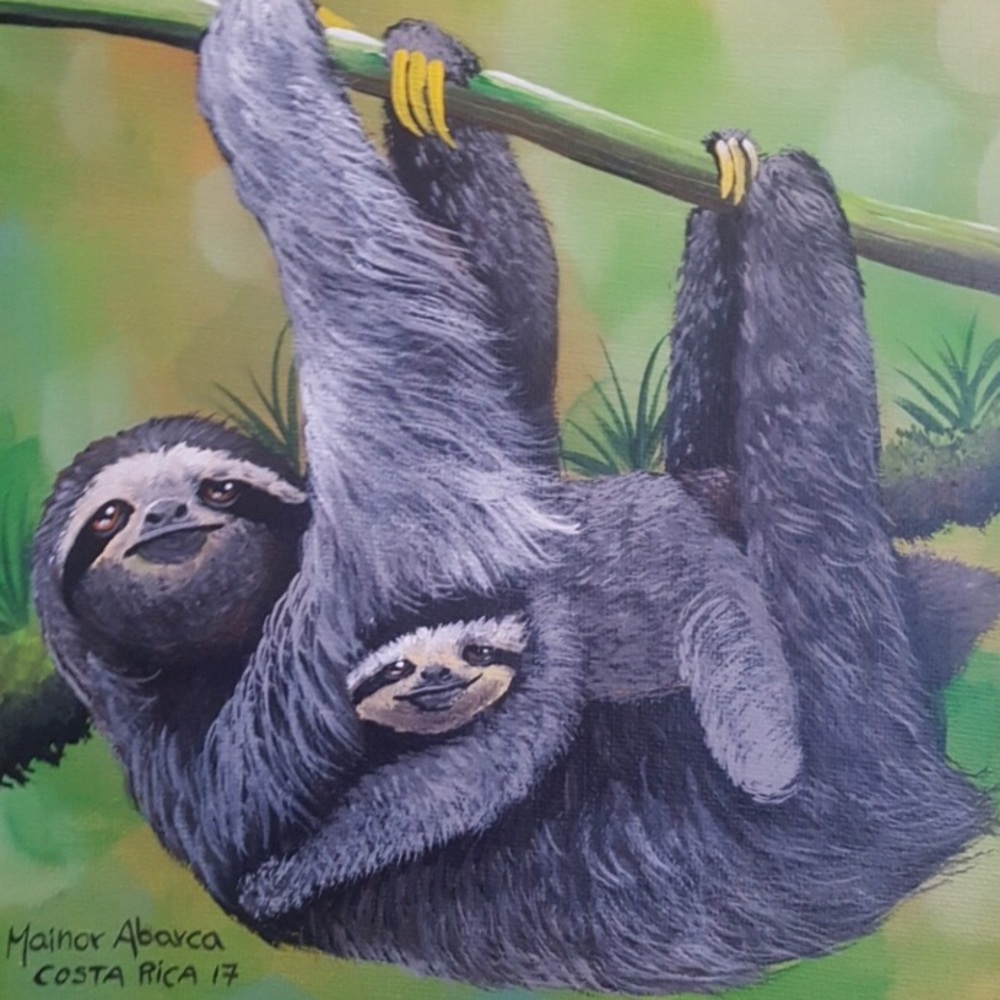 🌴Painting of Sloth 😍 Costa Rico Original 8” x 8”
